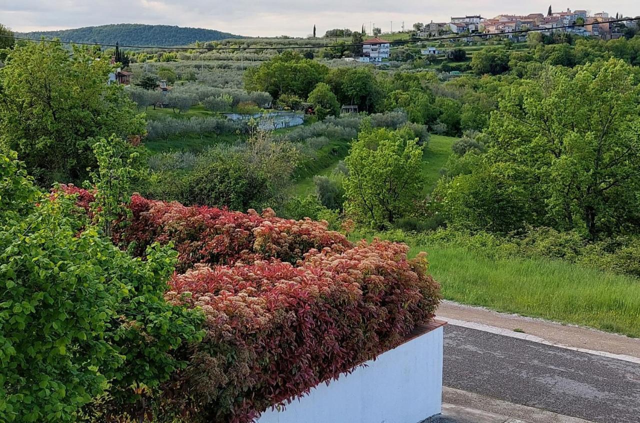 Aliana Apartment Secovlje Bagian luar foto